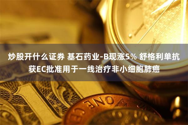 炒股开什么证券 基石药业-B现涨5% 舒格利单抗获EC批准用于一线治疗非小细胞肺癌